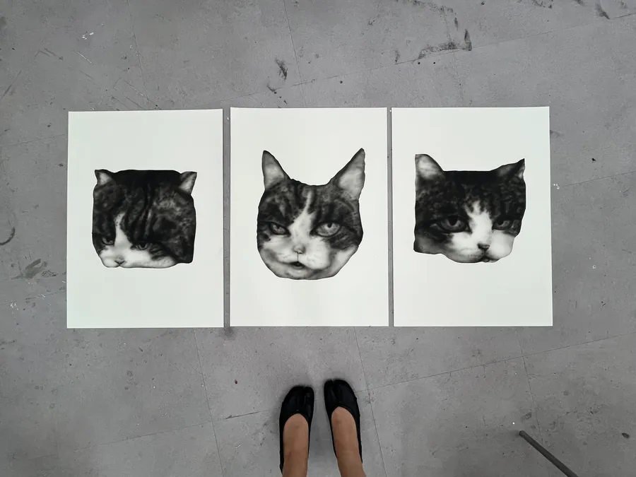 Cat Faces, 2026