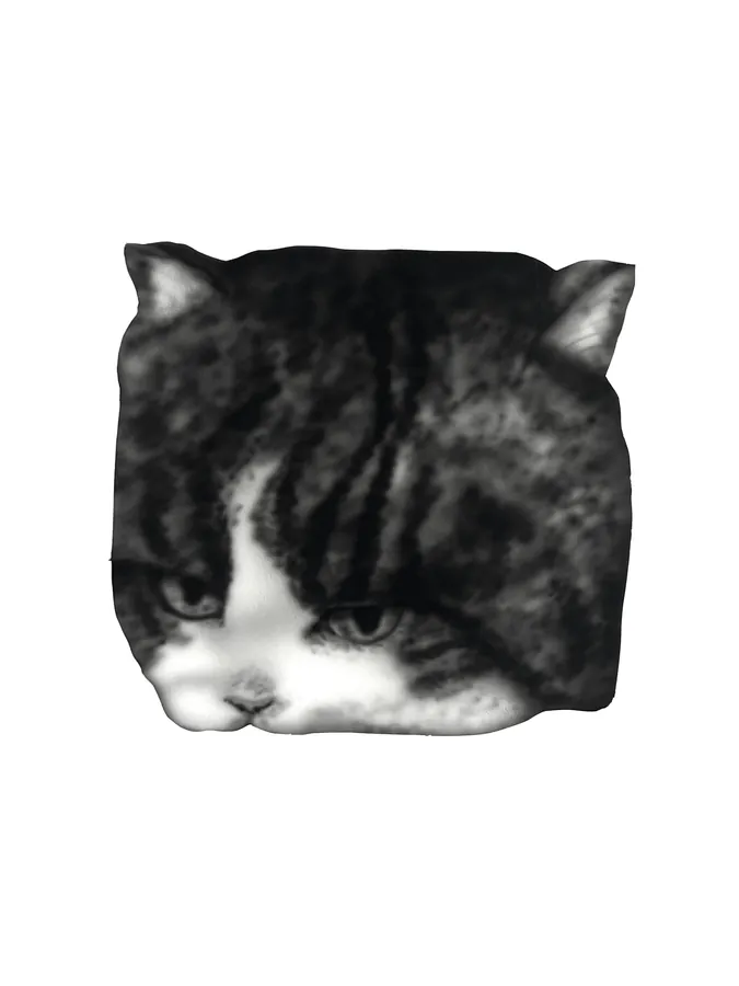 Cat 1