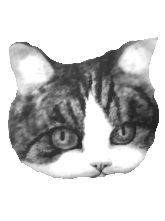 Cat 3