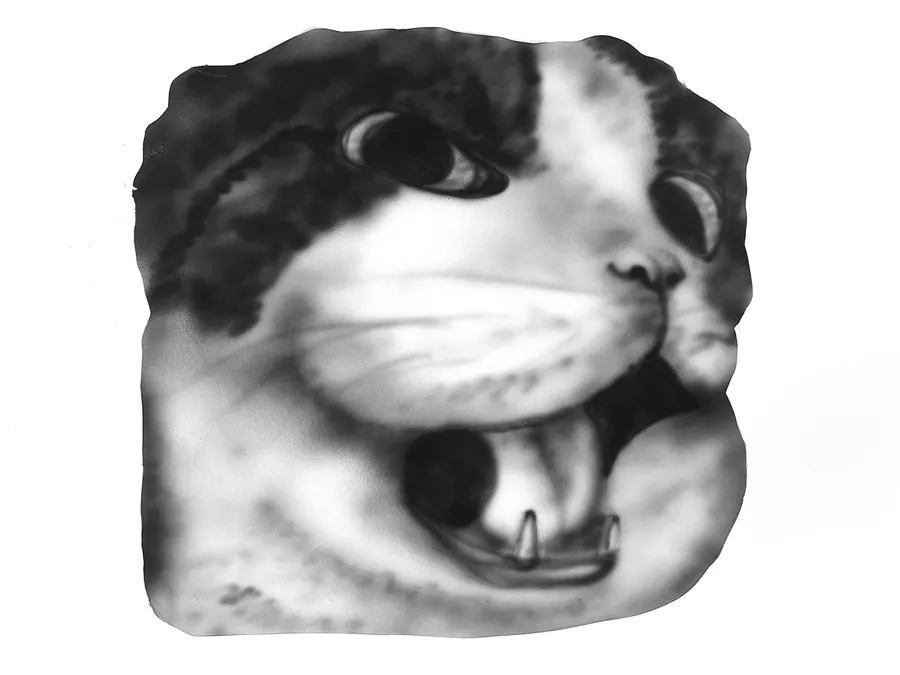 Cat 8