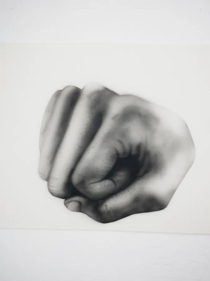 Fist