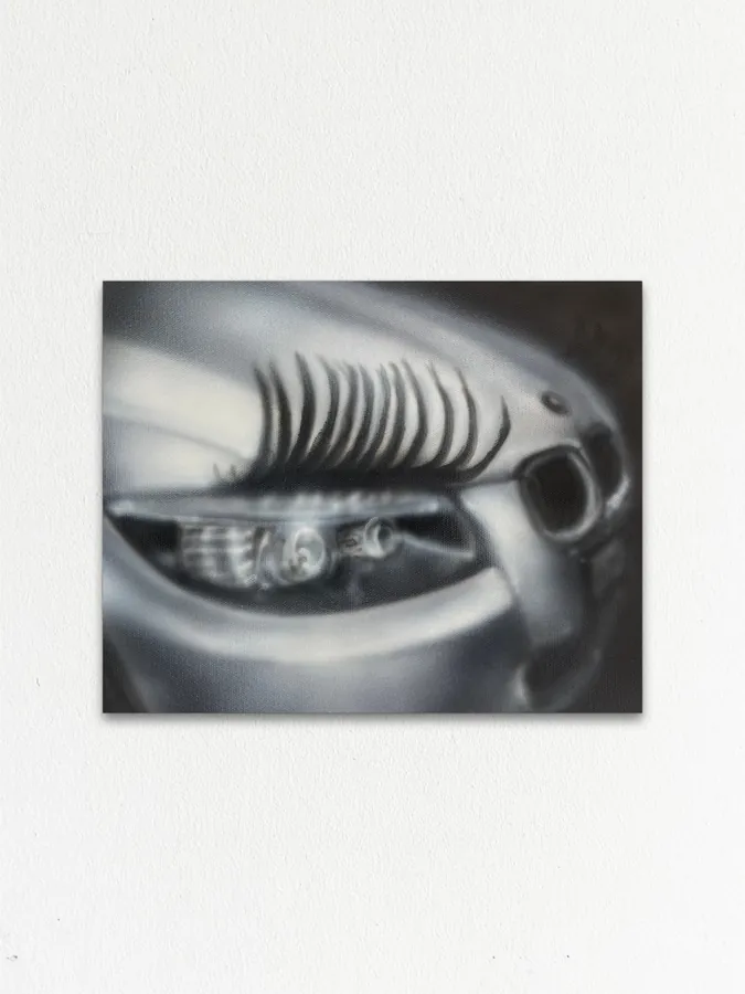 Lashes (1)