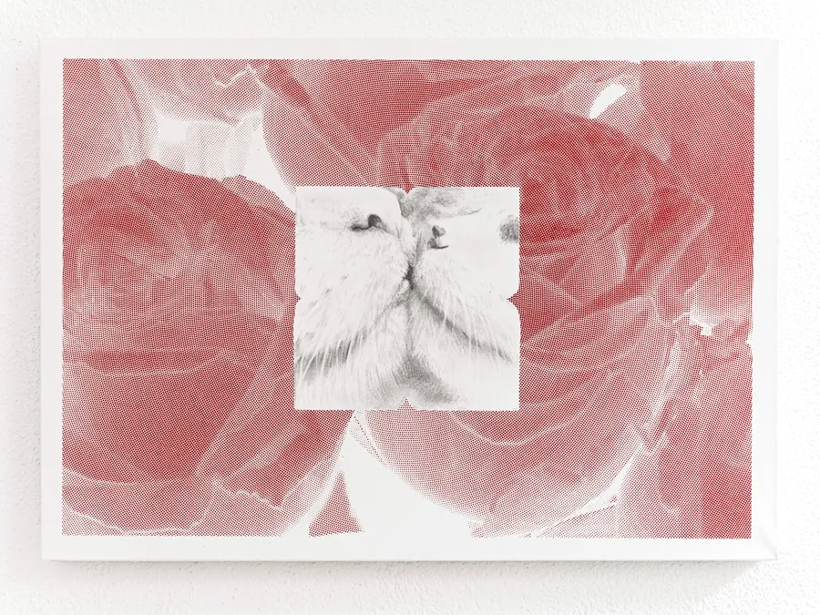 What if we were two cats kissing in a field of roses