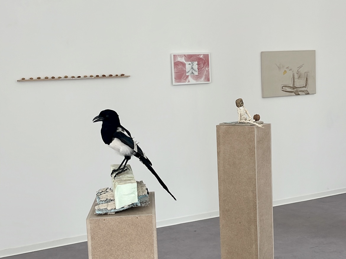 Überrollt & Ungescannt, HfBK Rundgang, 2025